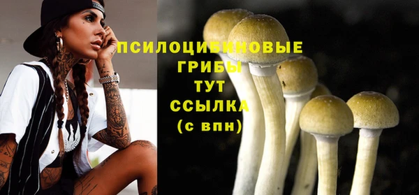 Альфа ПВП Михайловск