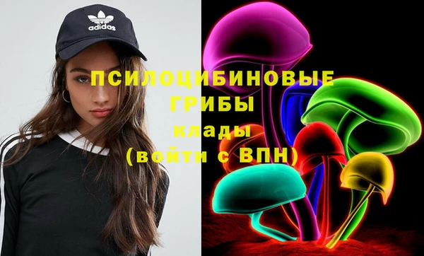 Альфа ПВП Михайловск