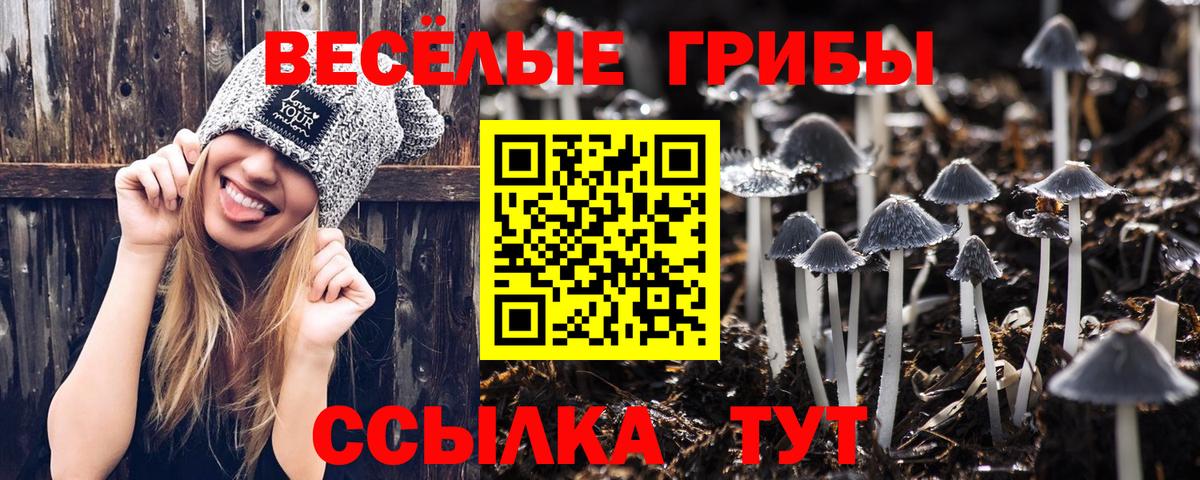 Галлюциногенные грибы ЛСД Калуга