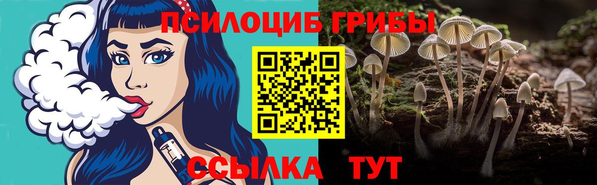 Галлюциногенные грибы прущие грибы  Вход с VPN  Калуга 